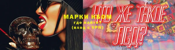 прущие грибы Алексин