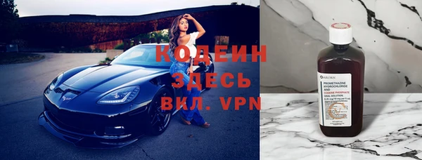 ГАЛЛЮЦИНОГЕННЫЕ ГРИБЫ Абаза