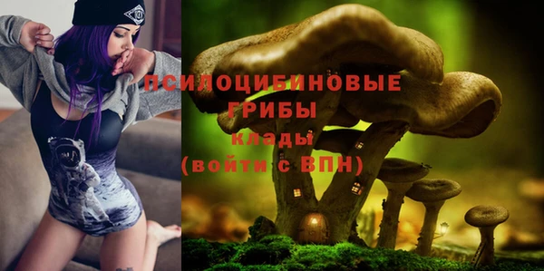 ГАЛЛЮЦИНОГЕННЫЕ ГРИБЫ Абаза