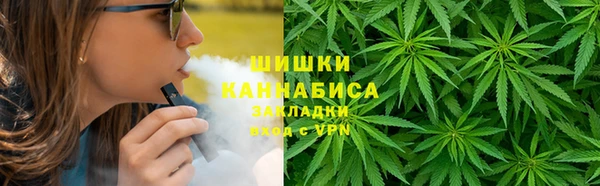 ГАЛЛЮЦИНОГЕННЫЕ ГРИБЫ Абаза