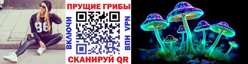 цена   Чита  Псилоцибиновые грибы MAGIC MUSHROOMS 