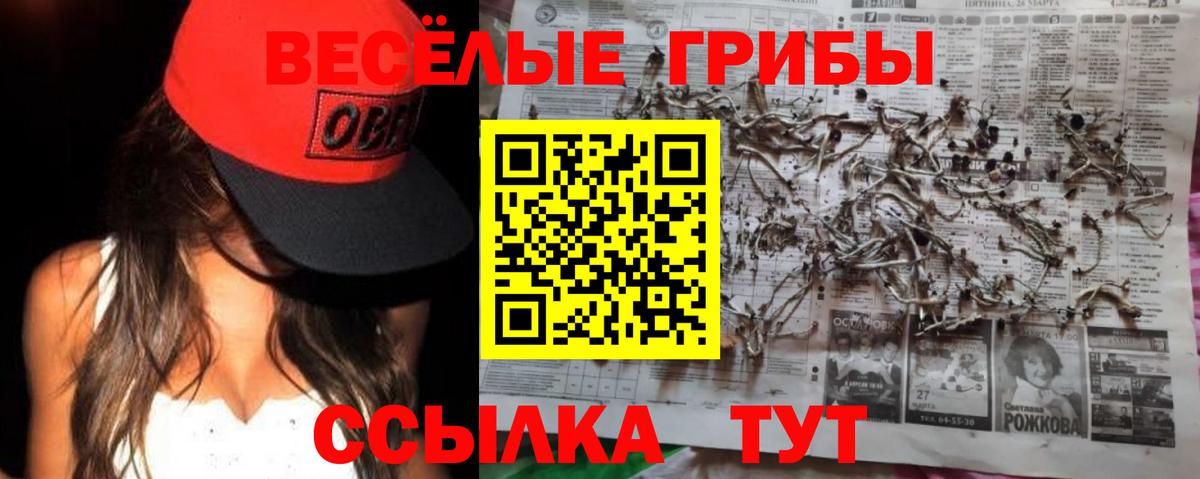 Чита  хочу   Вход с VPN  Псилоцибиновые грибы Magic Shrooms  Псилоцибиновые грибы Psilocybe 